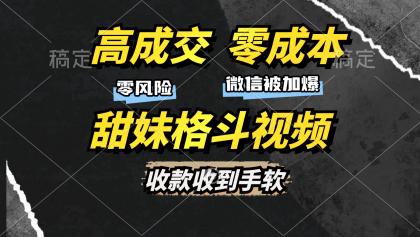 高成交零成本，售卖甜妹格斗视频，谁发谁火，加爆微信，收款收到手软-颜夕资源网-第17张图片