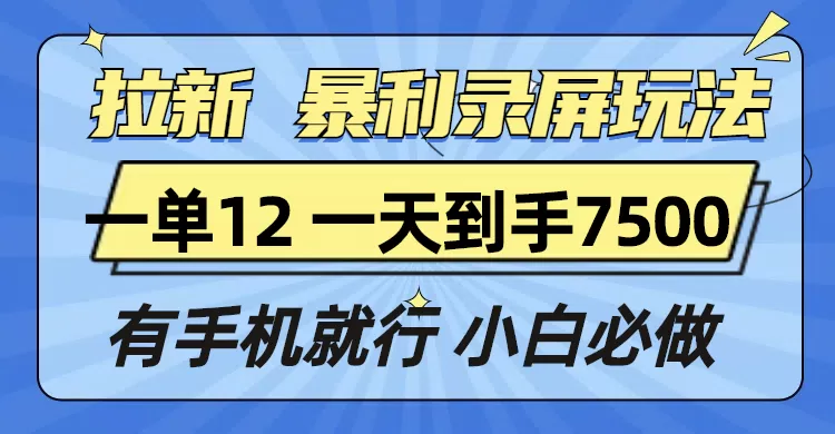 拉新暴利录屏玩法，一单12块，一天到手7500，有手机就行-颜夕资源网-第17张图片