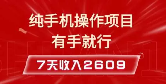 纯手机操作的小项目，有手就能做，7天收入2609+实操教程-颜夕资源网-第17张图片