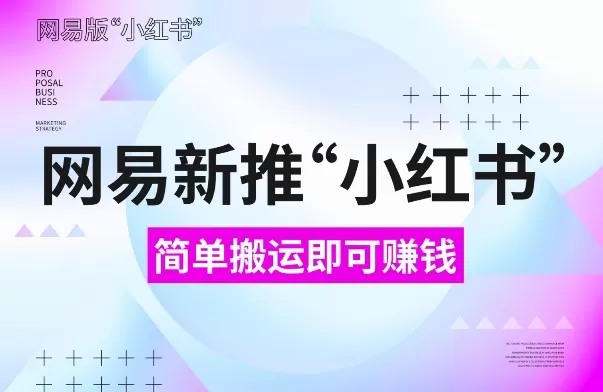 网易“小红书”版，搬运即有收益，新手小白千万别错过(附详细教程)-颜夕资源网-第17张图片