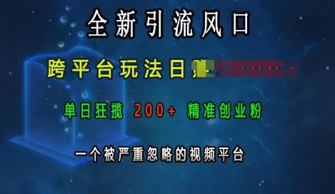 引流风口，跨平台玩法日入上k，单日200+创业粉，一个被严重忽略的视频平台-颜夕资源网-第17张图片