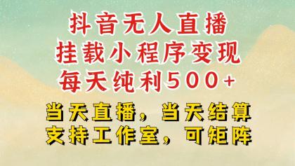 抖音无人挂机项目，轻松日入500+,挂载小程序玩法，不违规不封号，有号的一定挂起来-颜夕资源网-第17张图片