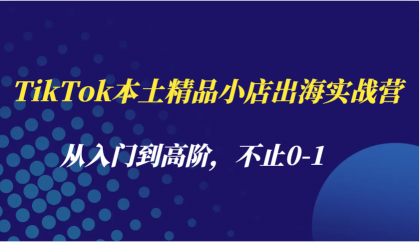 TikTok本土精品小店出海实战营，从入门到高阶，不止0-1-颜夕资源网-第17张图片