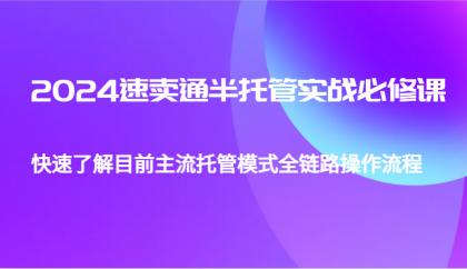 2024速卖通半托管从0到1实战必修课，帮助你快速了解目前主流托管模式全链路操作流程-颜夕资源网-第17张图片