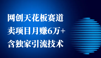 网创天花板赛道，卖项目月赚6万+，含独家引流技术（共26节课）-颜夕资源网-第17张图片