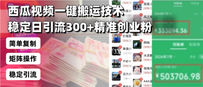 西瓜视频一键搬运技术，稳定日引流300+精准创业粉，简单可复制给团队-颜夕资源网-第17张图片