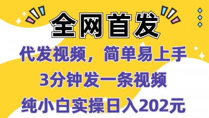 代发视频，简单易上手 3分钟发一条视频 纯小白实操日入202元-颜夕资源网-第17张图片