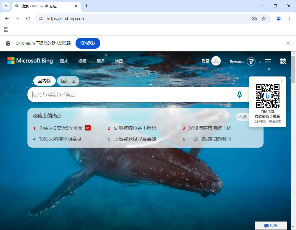 Ungoogled-Chromium v133.0.6943.98-1.1 中文绿色版-颜夕资源网-第17张图片