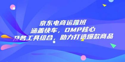京东电商运营班：涵盖快车，DMP核心及各工具组合，助力打造爆款商品-颜夕资源网-第17张图片