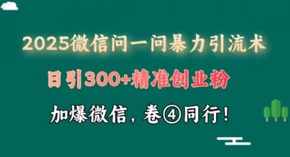 2025最新微信问一问暴力行为引流术揭密，日引300 自主创业粉，单日转现四位数-颜夕资源网-第17张图片