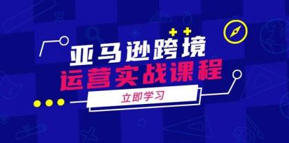 亚马逊跨境运营实战课程：涵盖亚马逊运营、申诉、选品等多个方面-颜夕资源网-第17张图片