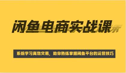 闲鱼电商实战课，系统学习高效交易，助你熟练掌握闲鱼平台的运营技巧-颜夕资源网-第17张图片