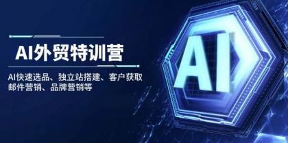 AI外贸特训营：AI快速选品、独立站搭建、客户获取、邮件营销、品牌营销等-颜夕资源网-第17张图片