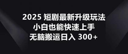2025短剧最新升级玩法，小白也能快速上手，无脑搬运日入300+-颜夕资源网-第17张图片