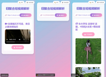 全新二次元聚合短视频解析去水印系统源码 自适应双端-颜夕资源网-第17张图片