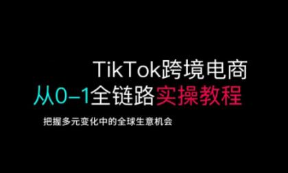 TikTok跨境电子商务从0-1全链路营销多方位实际操作实例教程，掌握多元化发展中全球买卖机遇-颜夕资源网-第17张图片
