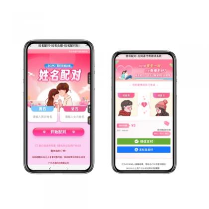 2025姓名配对测算最新源码-颜夕资源网-第17张图片