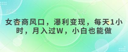 女杏商出风口，瀑利转现，每日1钟头，月入了W，新手也可以做-颜夕资源网-第17张图片
