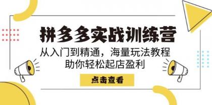 拼多多实战训练营，从入门到精通，海量玩法教程，助你轻松起店盈利-颜夕资源网-第17张图片