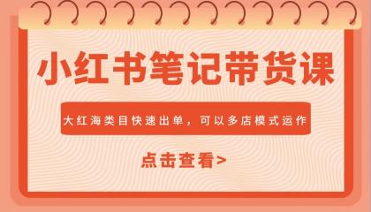 小红书笔记带货课，大红海类目快速出单，市场大，可以多店模式运作-颜夕资源网-第17张图片