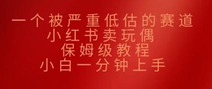 一个被严重低估的赛道，小红书的卖公仔，家庭保姆级实例教程，小白一min入门-颜夕资源网-第17张图片