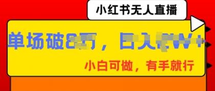 小红书无人直播，纯小白可做，有手就行，单场直播销售额破8w-颜夕资源网-第17张图片