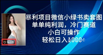 赚钱项目微信小绿书卖套图，仅仅净利润，小众跑道， 小白可实际操作，轻轻松松日入好几张-颜夕资源网-第17张图片