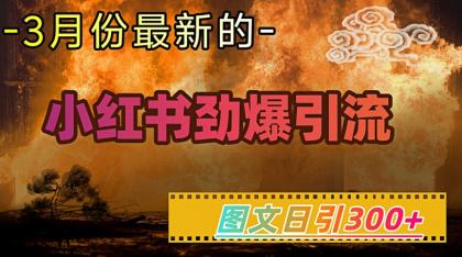 小红书的超劲爆引流方法方式，图文并茂日引300 轻轻松松转现1W-颜夕资源网-第17张图片