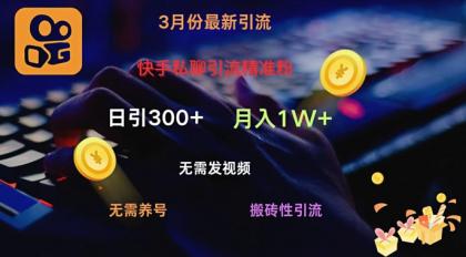 快手视频私信引流方法精准粉，当日奏效不用上传视频打金引流法日引300-颜夕资源网-第17张图片