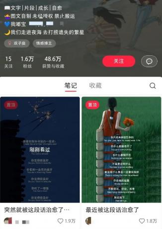 小红书治愈文案图文笔记，零门槛，一分钟制作轻松制作爆款作品月入万元-颜夕资源网-第18张图片