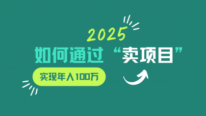 2025年如何通过“卖项目”实现年入100w-颜夕资源网-第17张图片