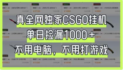 CSGO挂机，单日捡漏1000+，不用电脑，不用养号-颜夕资源网-第17张图片