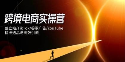 跨境电商实操营：独立站/TikTok/谷歌广告/YouTube，精准选品与高效引流-颜夕资源网-第17张图片