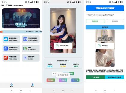 GULL工具箱-视频去水印/网盘解析下载等-颜夕资源网-第17张图片