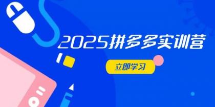 2025拼多多平台实践营：深入剖析经营重要，助推电商人快速升级-颜夕资源网-第17张图片