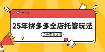 25年拼多多全店托管玩法，矩阵动销裂变玩法如何低风险盈利 新手运营秘籍-颜夕资源网-第17张图片