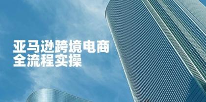 亚马逊跨境电商全流程实操，教你从零开始，掌握店铺运营与广告技巧-颜夕资源网-第17张图片