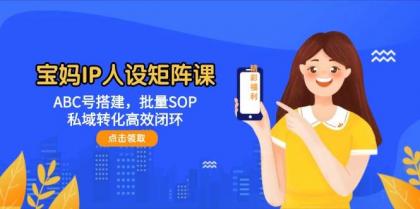 宝妈IP人设矩阵课：ABC号搭建，批量SOP，私域转化高效闭环-颜夕资源网-第17张图片