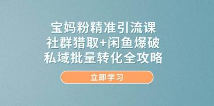 宝妈粉精准引流课，社群猎取+闲鱼爆破，私域批量转化全攻略-颜夕资源网-第17张图片