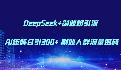 DeepSeek+创业粉引流 AI矩阵日引300+ 副业人群流量密码-颜夕资源网-第17张图片