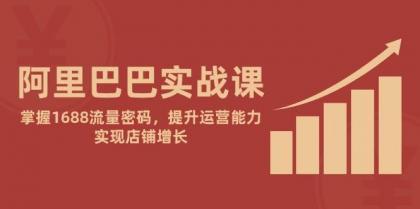 阿里巴巴实战课：掌握1688流量密码，提升运营能力，实现店铺增长-颜夕资源网-第17张图片