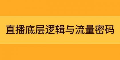 直播底层逻辑与流量密码：定位模型+案例拆解，急速流承接与数据优化全攻略-颜夕资源网-第17张图片