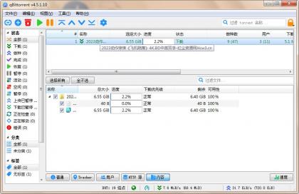 qBittorrent(强大的BT下载工具)v5.1.0.10中文绿色增强版-颜夕资源网-第17张图片