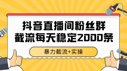 抖音直播间粉丝群截流，稳定采集数据全行业通用 2000+数据一天-颜夕资源网-第17张图片