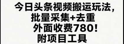 今日头条视频搬运玩法，软件一键去重，轻松日入500+附项目工具-颜夕资源网-第16张图片