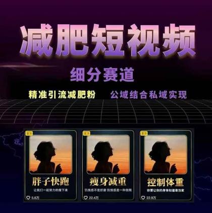 减肥短视频运营实战课：含素材制作、剪映教学，讲精准引流、变现设计与内容模板技巧-颜夕资源网-第18张图片