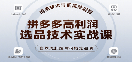 拼多多高利润选品技术实战课，手把手教学自然流高投产起爆，实现低风险可持续盈利-颜夕资源网-第16张图片